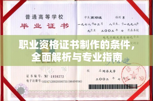 云龙职业资格证书制作的条件，全面解析与专业指南